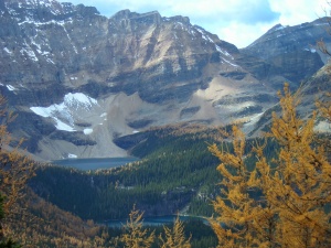 The view from Healy Pass on the BC/ Alberta border.  Love of the world can lighten heavy spirits.