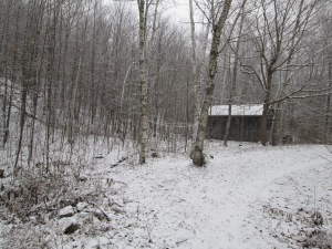 It's just the tool shed but it looks good with the first dusting of snow.